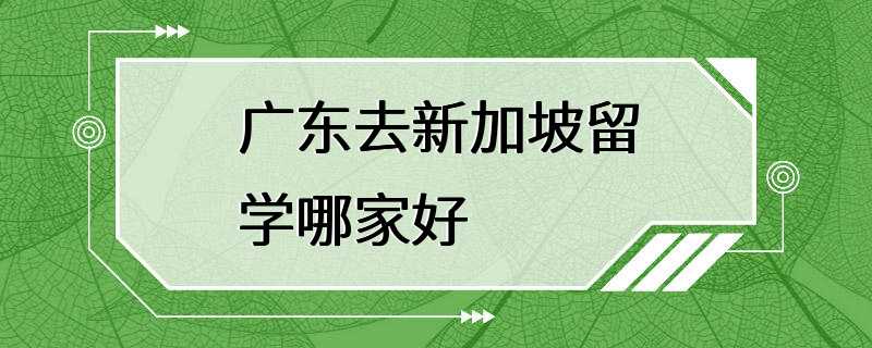 广东去新加坡留学哪家好