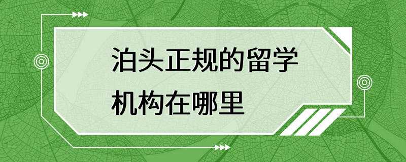 泊头正规的留学机构在哪里