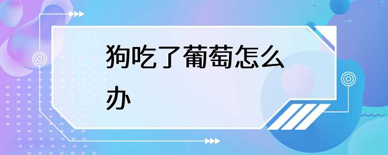 狗吃了葡萄怎么办