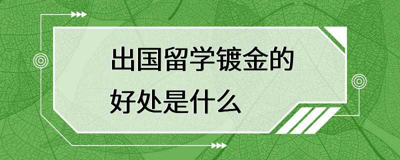 出国留学镀金的好处是什么