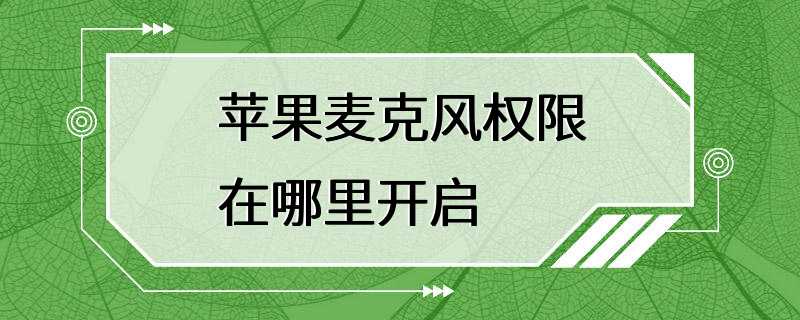 苹果麦克风权限在哪里开启