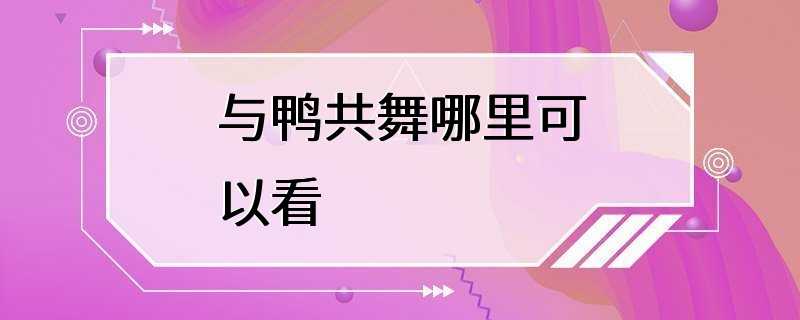 与鸭共舞哪里可以看