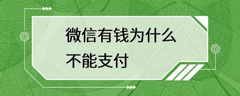 微信有钱为什么不能支付