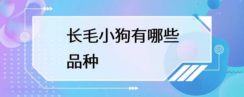 长毛小狗有哪些品种