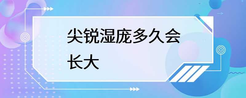 尖锐湿庞多久会长大