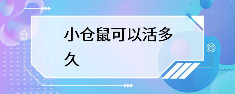 小仓鼠可以活多久