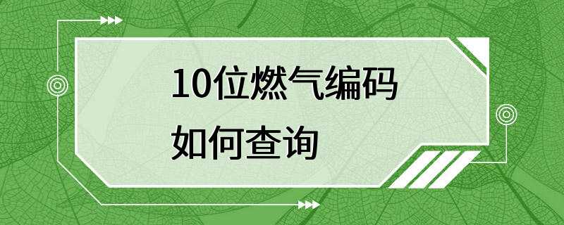 10位燃气编码如何查询