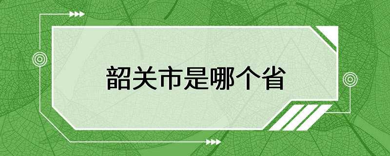 韶关市是哪个省