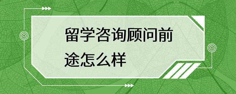 留学咨询顾问前途怎么样