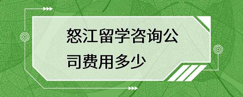 怒江留学咨询公司费用多少