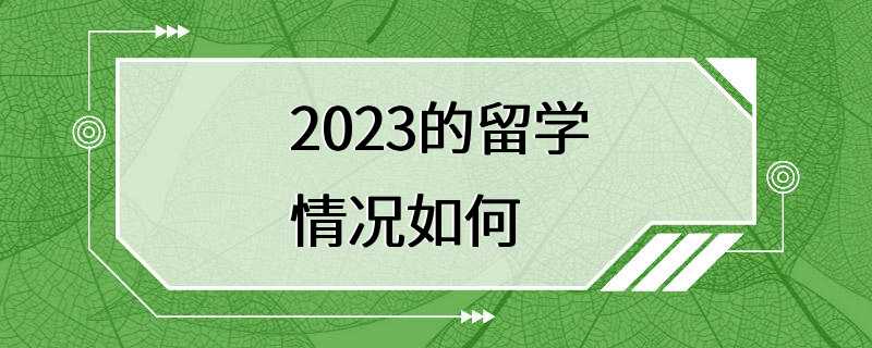 2023的留学情况如何