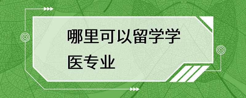 哪里可以留学学医专业