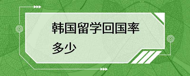 韩国留学回国率多少