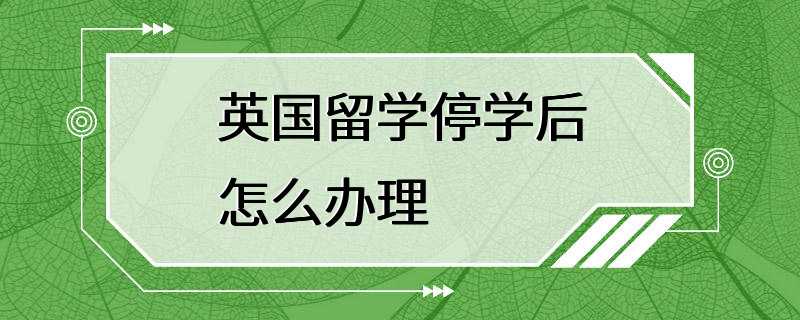 英国留学停学后怎么办理