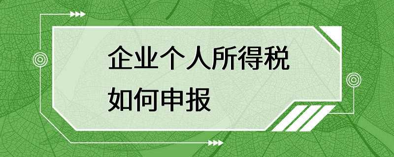 企业个人所得税如何申报