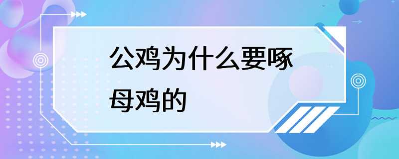 公鸡为什么要啄母鸡的