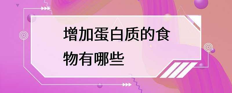 增加蛋白质的食物有哪些