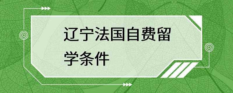 辽宁法国自费留学条件