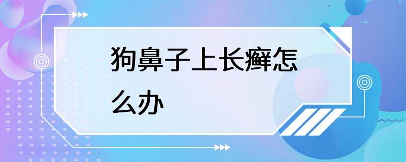 狗鼻子上长癣怎么办