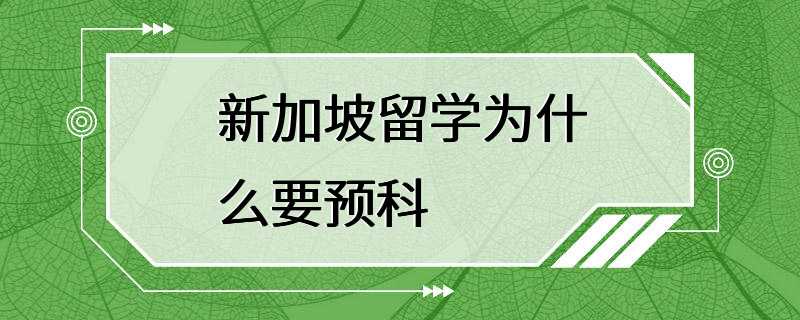 新加坡留学为什么要预科