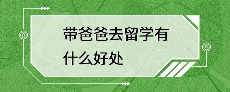 带爸爸去留学有什么好处