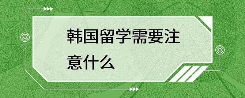 韩国留学需要注意什么