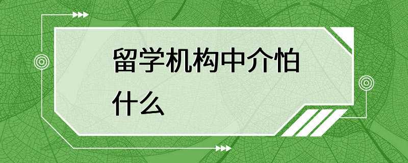 留学机构中介怕什么