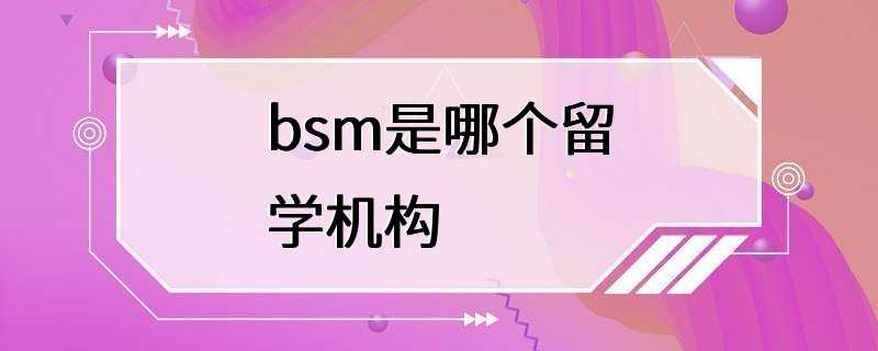 bsm是哪个留学机构