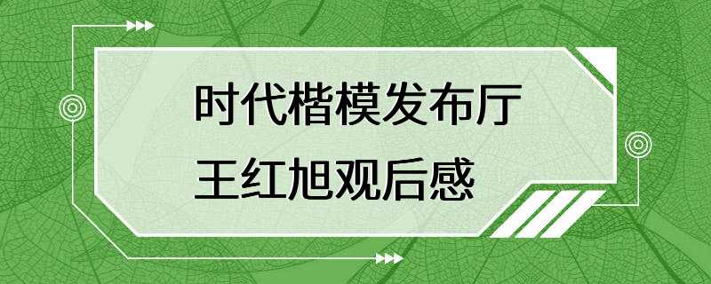 时代楷模发布厅王红旭观后感