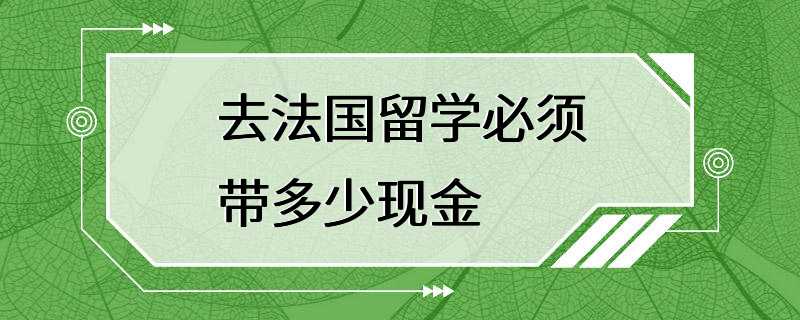 去法国留学必须带多少现金