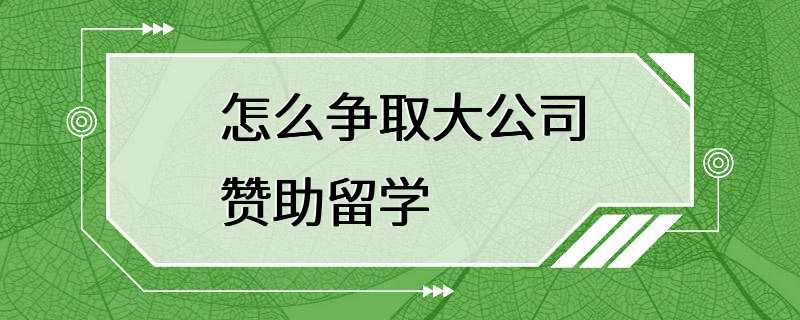 怎么争取大公司赞助留学