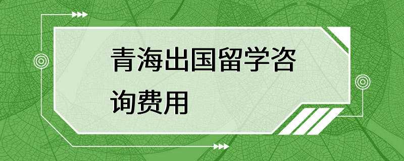 青海出国留学咨询费用