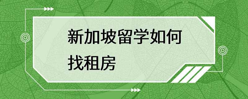 新加坡留学如何找租房