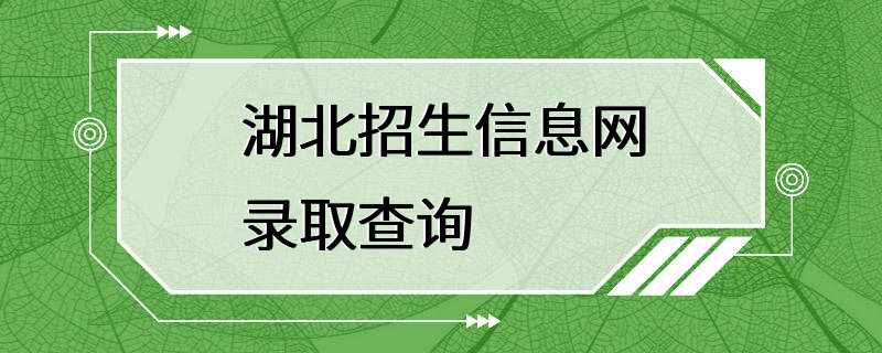 湖北招生信息网录取查询