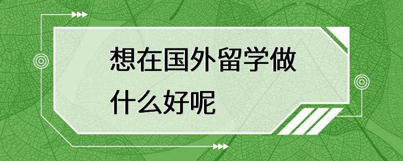 想在国外留学做什么好呢