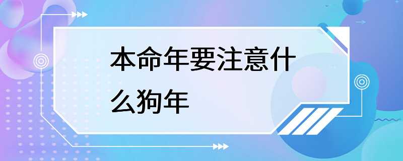 本命年要注意什么狗年