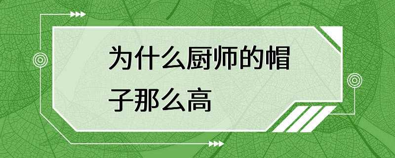 为什么厨师的帽子那么高