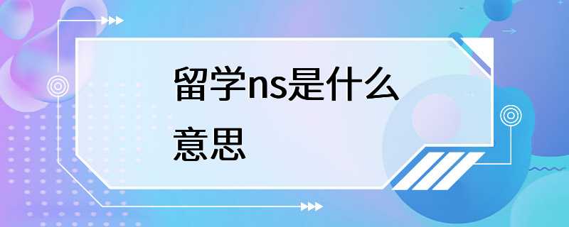 留学ns是什么意思