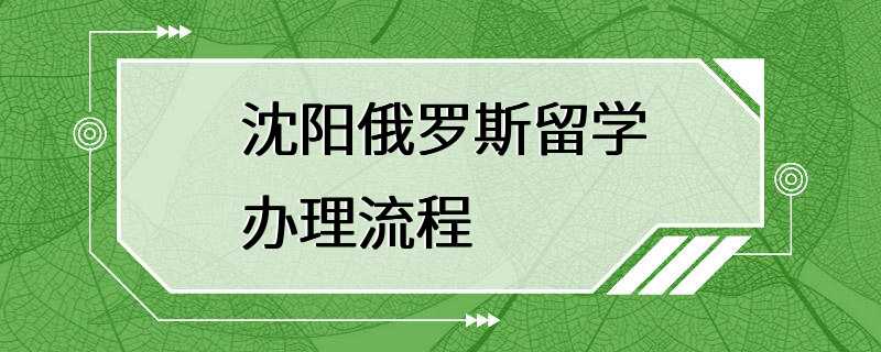 沈阳俄罗斯留学办理流程