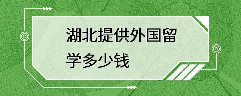 湖北提供外国留学多少钱