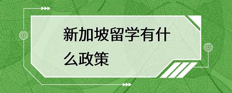 新加坡留学有什么政策