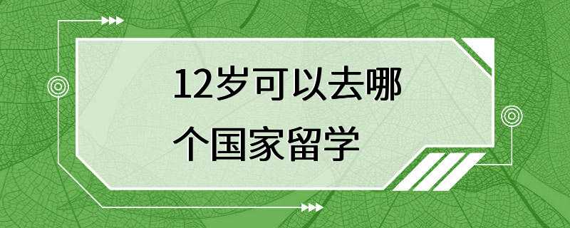 12岁可以去哪个国家留学