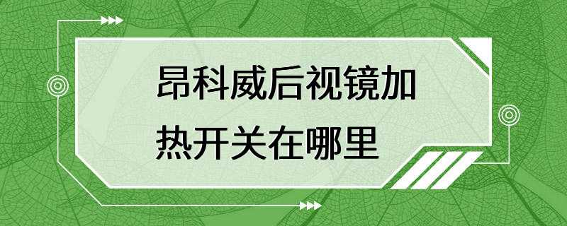 昂科威后视镜加热开关在哪里