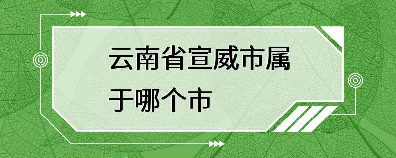 云南省宣威市属于哪个市