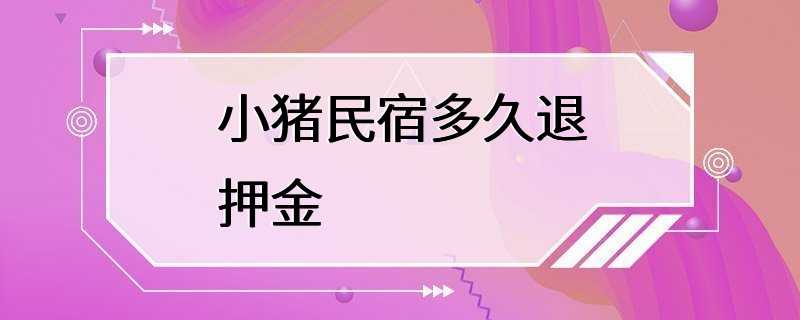 小猪民宿多久退押金