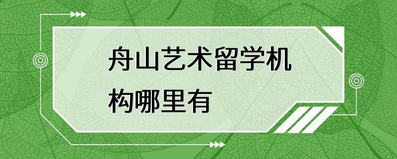 舟山艺术留学机构哪里有