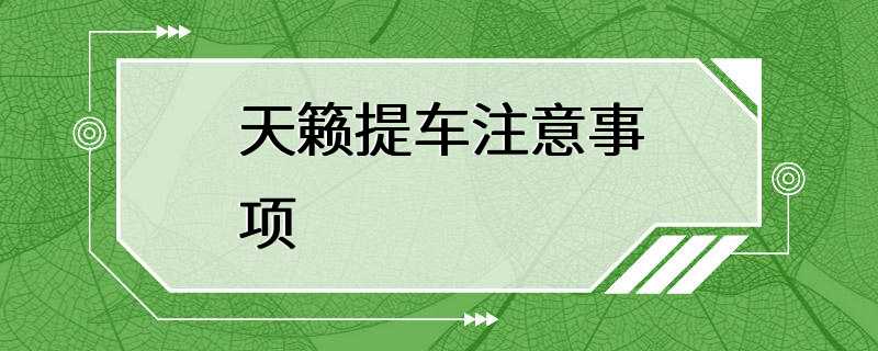 天籁提车注意事项