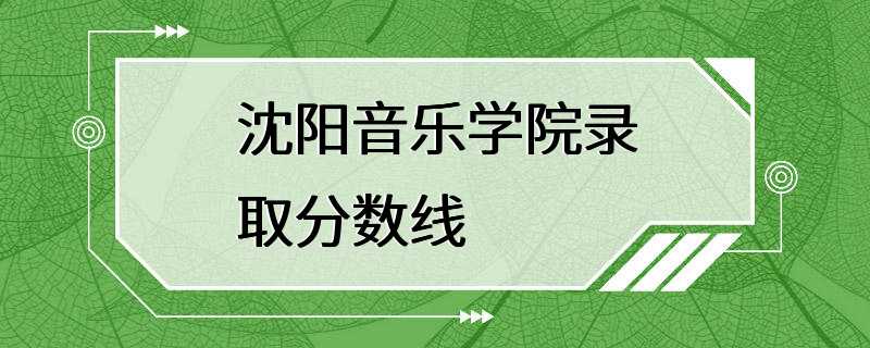 沈阳音乐学院录取分数线