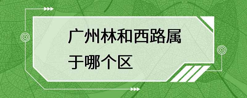 广州林和西路属于哪个区