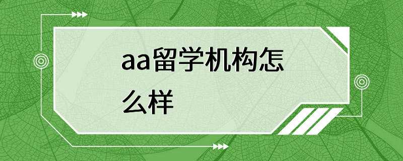 aa留学机构怎么样